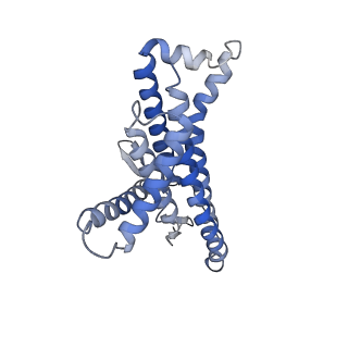12425_7njw_a_v1-1
Mycobacterium smegmatis ATP synthase Fo combined class 3