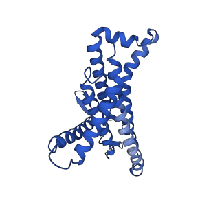 12427_7njy_a_v1-1
Mycobacterium smegmatis ATP synthase Fo combined class 5