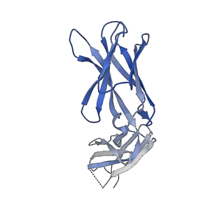 3654_5nj3_C_v1-3
Structure of an ABC transporter: complete structure