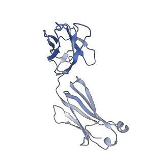 3654_5nj3_D_v1-3
Structure of an ABC transporter: complete structure
