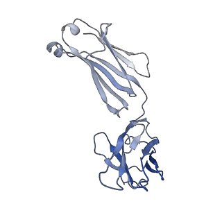 3654_5nj3_F_v1-3
Structure of an ABC transporter: complete structure