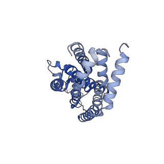 3654_5njg_A_v1-3
Structure of an ABC transporter: part of the structure that could be built de novo
