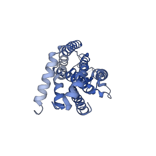 3654_5njg_B_v1-3
Structure of an ABC transporter: part of the structure that could be built de novo