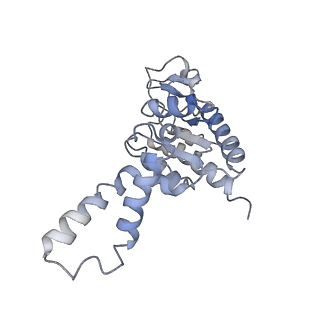 3656_5njt_B_v1-4
Structure of the Bacillus subtilis hibernating 100S ribosome reveals the basis for 70S dimerization.
