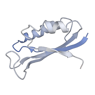 3656_5njt_F_v1-4
Structure of the Bacillus subtilis hibernating 100S ribosome reveals the basis for 70S dimerization.