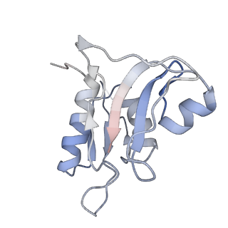 3656_5njt_H_v1-4
Structure of the Bacillus subtilis hibernating 100S ribosome reveals the basis for 70S dimerization.