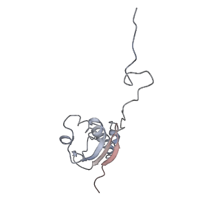 3656_5njt_I_v1-4
Structure of the Bacillus subtilis hibernating 100S ribosome reveals the basis for 70S dimerization.