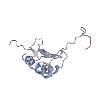 3656_5njt_K_v1-4
Structure of the Bacillus subtilis hibernating 100S ribosome reveals the basis for 70S dimerization.