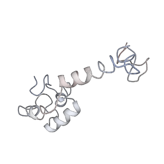 3656_5njt_M_v1-4
Structure of the Bacillus subtilis hibernating 100S ribosome reveals the basis for 70S dimerization.