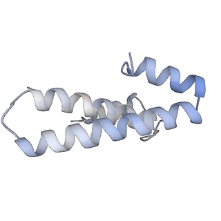 3656_5njt_O_v1-4
Structure of the Bacillus subtilis hibernating 100S ribosome reveals the basis for 70S dimerization.