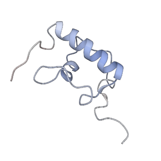 3656_5njt_R_v1-4
Structure of the Bacillus subtilis hibernating 100S ribosome reveals the basis for 70S dimerization.