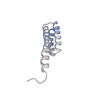 3656_5njt_T_v1-4
Structure of the Bacillus subtilis hibernating 100S ribosome reveals the basis for 70S dimerization.