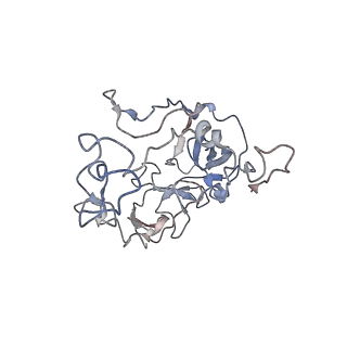 3656_5njt_W_v1-4
Structure of the Bacillus subtilis hibernating 100S ribosome reveals the basis for 70S dimerization.