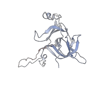 3656_5njt_X_v1-4
Structure of the Bacillus subtilis hibernating 100S ribosome reveals the basis for 70S dimerization.