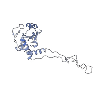 3656_5njt_Y_v1-4
Structure of the Bacillus subtilis hibernating 100S ribosome reveals the basis for 70S dimerization.