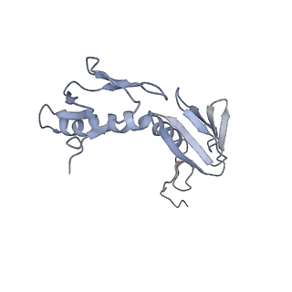 3656_5njt_a_v1-4
Structure of the Bacillus subtilis hibernating 100S ribosome reveals the basis for 70S dimerization.