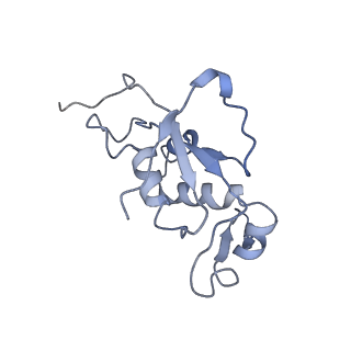 3656_5njt_c_v1-4
Structure of the Bacillus subtilis hibernating 100S ribosome reveals the basis for 70S dimerization.