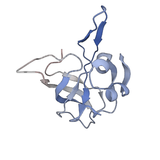 3656_5njt_d_v1-4
Structure of the Bacillus subtilis hibernating 100S ribosome reveals the basis for 70S dimerization.