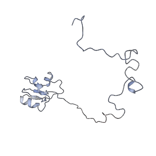 3656_5njt_e_v1-4
Structure of the Bacillus subtilis hibernating 100S ribosome reveals the basis for 70S dimerization.