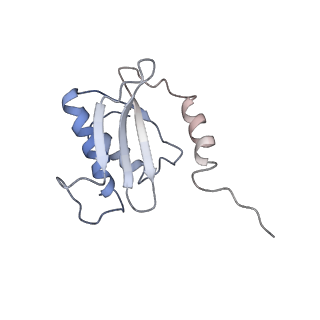 3656_5njt_h_v1-4
Structure of the Bacillus subtilis hibernating 100S ribosome reveals the basis for 70S dimerization.
