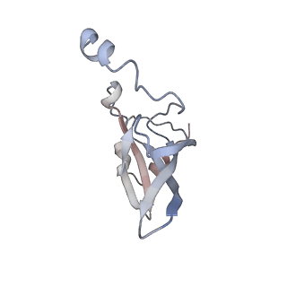 3656_5njt_i_v1-4
Structure of the Bacillus subtilis hibernating 100S ribosome reveals the basis for 70S dimerization.