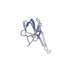 3656_5njt_k_v1-4
Structure of the Bacillus subtilis hibernating 100S ribosome reveals the basis for 70S dimerization.