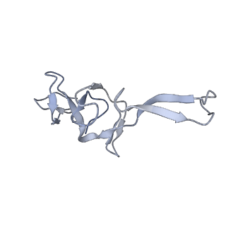 3656_5njt_n_v1-4
Structure of the Bacillus subtilis hibernating 100S ribosome reveals the basis for 70S dimerization.