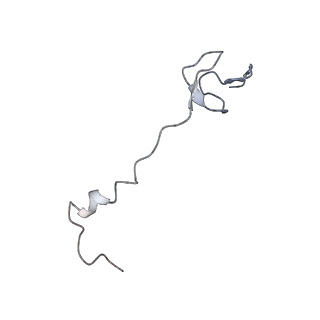 3656_5njt_p_v1-4
Structure of the Bacillus subtilis hibernating 100S ribosome reveals the basis for 70S dimerization.
