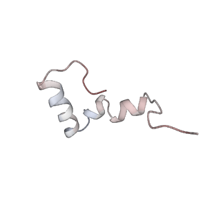 3656_5njt_r_v1-4
Structure of the Bacillus subtilis hibernating 100S ribosome reveals the basis for 70S dimerization.