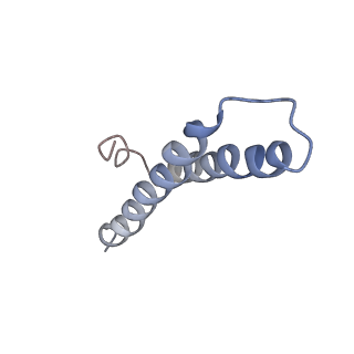 3656_5njt_v_v1-4
Structure of the Bacillus subtilis hibernating 100S ribosome reveals the basis for 70S dimerization.
