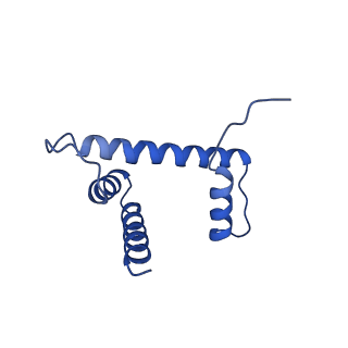 9384_6nj9_D_v1-3
Active state Dot1L bound to the H2B-Ubiquitinated nucleosome, 2-to-1 complex