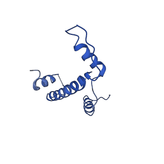 9384_6nj9_E_v1-3
Active state Dot1L bound to the H2B-Ubiquitinated nucleosome, 2-to-1 complex