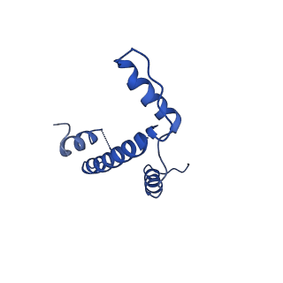 9384_6nj9_E_v3-0
Active state Dot1L bound to the H2B-Ubiquitinated nucleosome, 2-to-1 complex