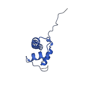 9384_6nj9_F_v3-0
Active state Dot1L bound to the H2B-Ubiquitinated nucleosome, 2-to-1 complex