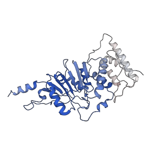 9384_6nj9_K_v3-0
Active state Dot1L bound to the H2B-Ubiquitinated nucleosome, 2-to-1 complex