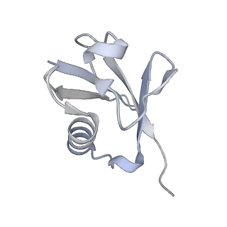 9384_6nj9_L_v1-3
Active state Dot1L bound to the H2B-Ubiquitinated nucleosome, 2-to-1 complex