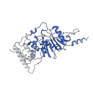 9384_6nj9_M_v3-0
Active state Dot1L bound to the H2B-Ubiquitinated nucleosome, 2-to-1 complex