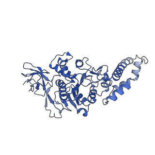 9390_6njo_A_v1-1
Structure of the assembled ATPase EscN from the enteropathogenic E. coli (EPEC) type III secretion system