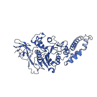 9390_6njo_A_v1-2
Structure of the assembled ATPase EscN from the enteropathogenic E. coli (EPEC) type III secretion system