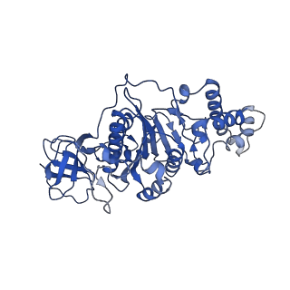 9390_6njo_B_v1-2
Structure of the assembled ATPase EscN from the enteropathogenic E. coli (EPEC) type III secretion system