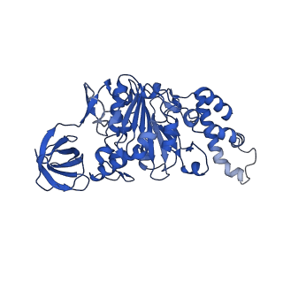 9390_6njo_C_v1-1
Structure of the assembled ATPase EscN from the enteropathogenic E. coli (EPEC) type III secretion system