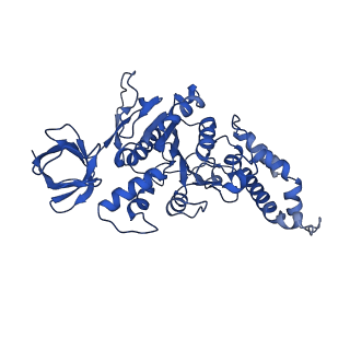 9390_6njo_D_v1-1
Structure of the assembled ATPase EscN from the enteropathogenic E. coli (EPEC) type III secretion system