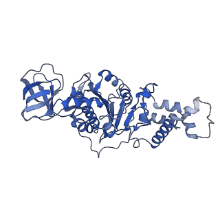9390_6njo_E_v1-1
Structure of the assembled ATPase EscN from the enteropathogenic E. coli (EPEC) type III secretion system