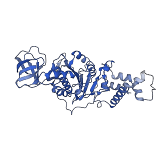 9390_6njo_E_v1-2
Structure of the assembled ATPase EscN from the enteropathogenic E. coli (EPEC) type III secretion system