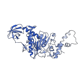 9390_6njo_F_v1-1
Structure of the assembled ATPase EscN from the enteropathogenic E. coli (EPEC) type III secretion system
