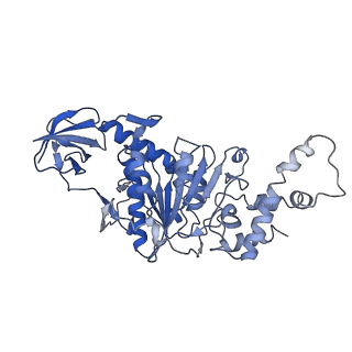 9390_6njo_F_v1-2
Structure of the assembled ATPase EscN from the enteropathogenic E. coli (EPEC) type III secretion system