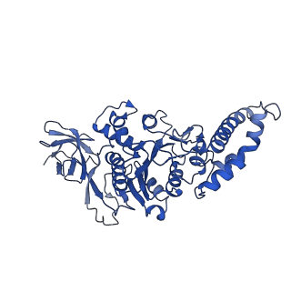 9391_6njp_A_v1-1
Structure of the assembled ATPase EscN in complex with its central stalk EscO from the enteropathogenic E. coli (EPEC) type III secretion system