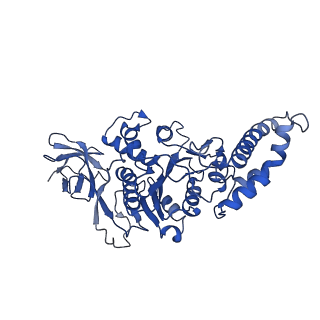 9391_6njp_A_v1-2
Structure of the assembled ATPase EscN in complex with its central stalk EscO from the enteropathogenic E. coli (EPEC) type III secretion system