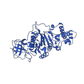 9391_6njp_B_v1-1
Structure of the assembled ATPase EscN in complex with its central stalk EscO from the enteropathogenic E. coli (EPEC) type III secretion system