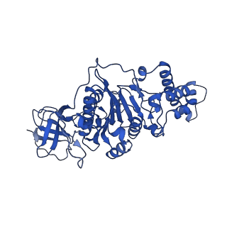 9391_6njp_B_v1-2
Structure of the assembled ATPase EscN in complex with its central stalk EscO from the enteropathogenic E. coli (EPEC) type III secretion system